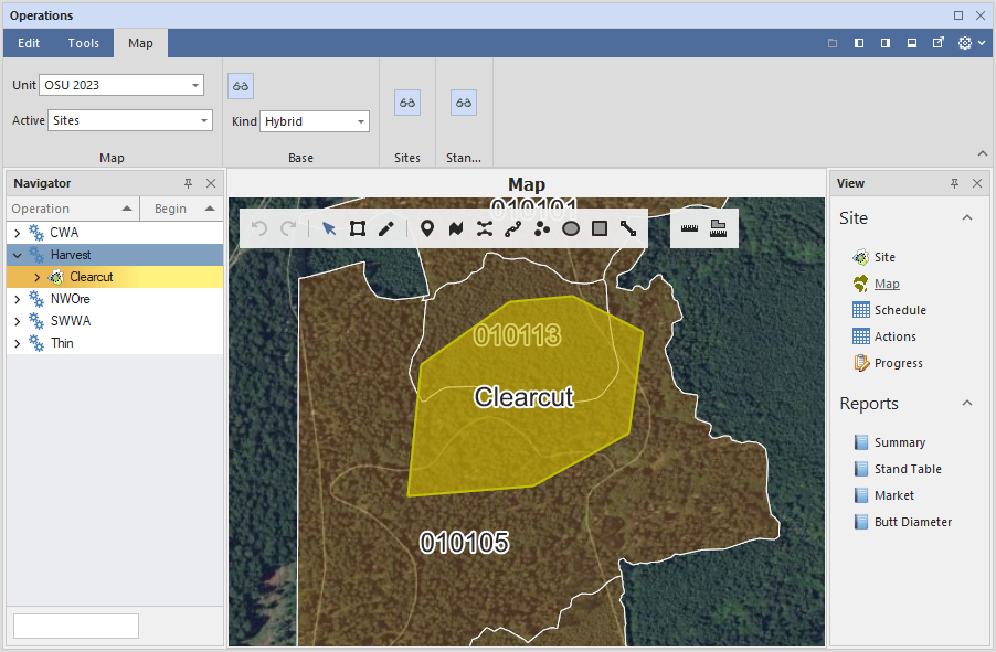 Assisi Forest 2023 Updates