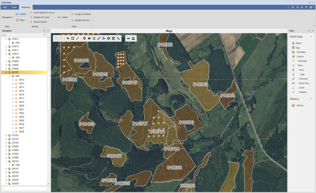 Forest Inventory Mapping in Assisi Forest