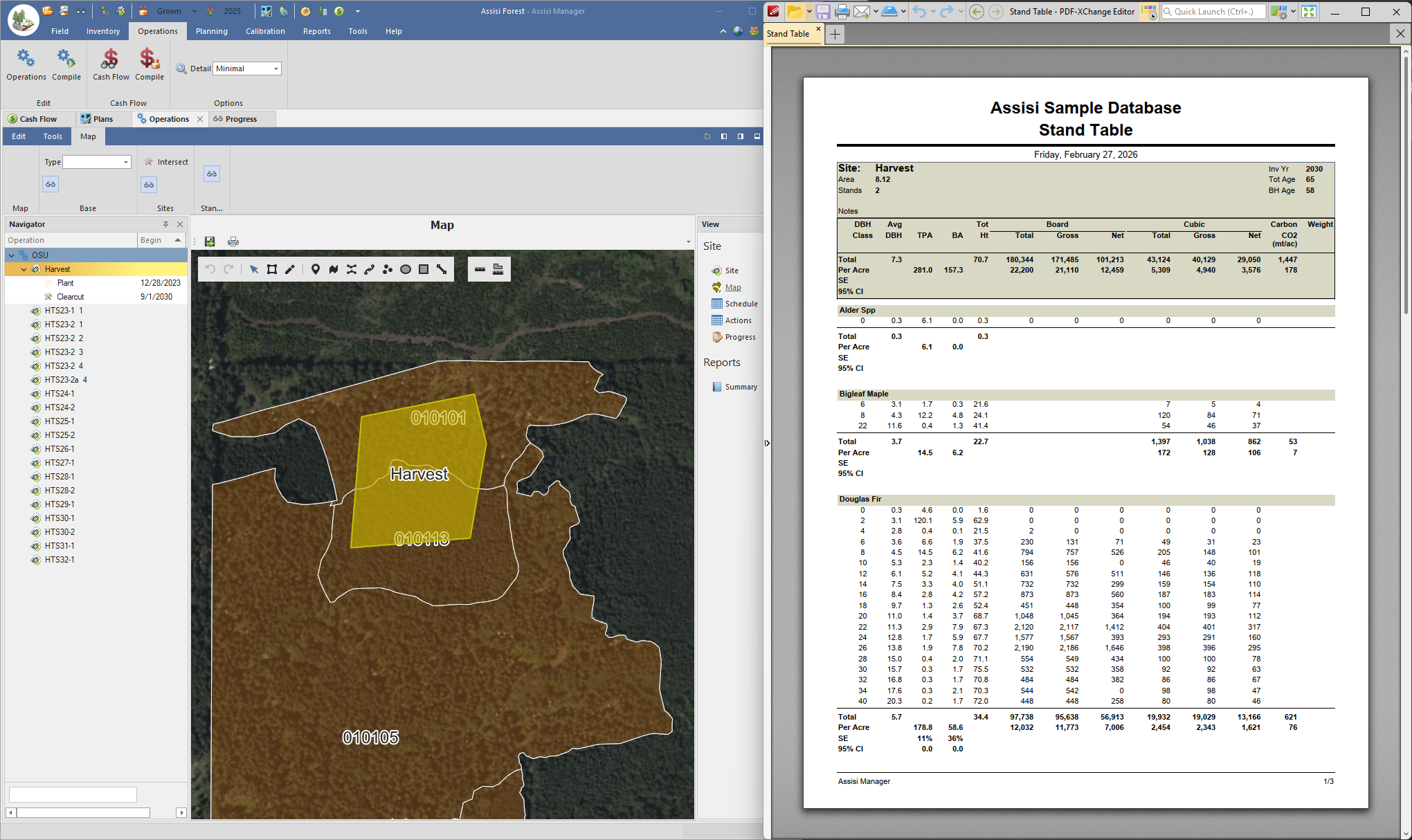 Assisi Forest 2026 Updates screenshot